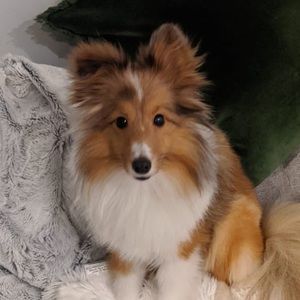 Meet your Posher, Julie